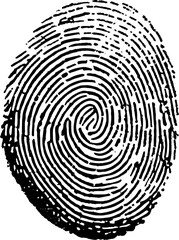 Fingerprint isolated on white. Eps10