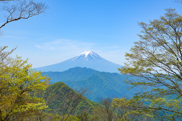 ハマイバ丸から見る富士山