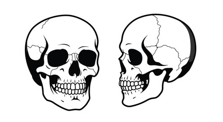 Obraz premium Black and White Human Skull Vector Set – Front and Side View