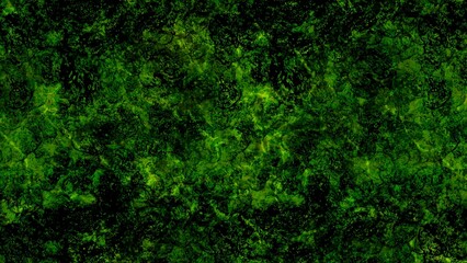 green grass background