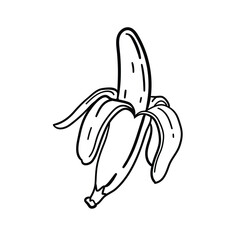 Hand made sketch of peeled banana for drawing book, sticker, postcard, wallpaper, mural, fabric, prints, etc