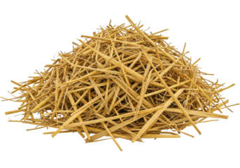 A large pile of straw resting on a white background, showcasing its texture and color