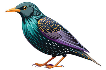 Colorful European Starling Illustration Depicts Graceful Bird on White Background