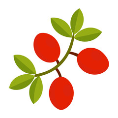 vector illustration of a cherry