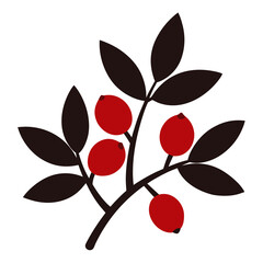 vector illustration of a branch with red berries