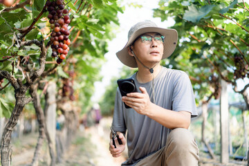man is working in the vineyard
