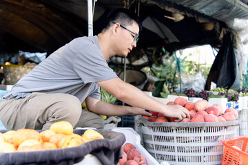  male owner of the fruit store