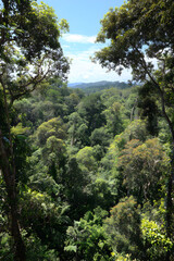 Visual Representation of Zonal Climate Zones: From Lush Tropics to the Stark Tundra, Depicting Earth's Diverse Ecosystems Along Latitudinal Lines