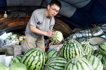  male owner of the fruit store
