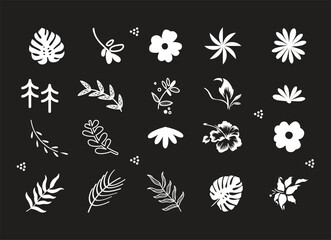 Beautiful romantic flower collection with roses, leaves, floral bouquets, flower compositions