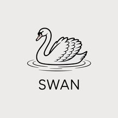 vector illustration of a swan