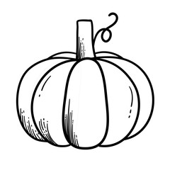 Pumpkin - squash for Halloween or Thanksgiving line art icon for apps and websites