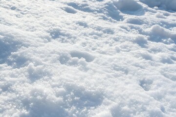 Fototapeta premium Snow Texture Background