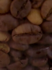 Macro close-up shot of premium unroasted green coffee beans, showcasing the raw texture of gourmet arabica seeds before the roasting process.