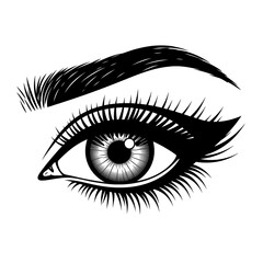 eye of the girl vector icon, Detailed black and white illustration of a human eye with eyebrow art