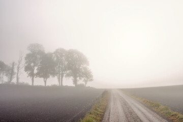 Gravel road across fields a misty autumn day in the countryside