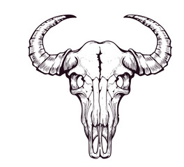 Illustration of buffalo skull in monochrome style. Design element for label, sign, emblem. Vector illustration