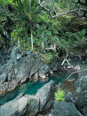 Air Biru Faudu is a hidden gem destination on Hiri Island, North Mollucas, Indonesia that offers views of crystal clear blue water amidst lush trees and black rocks. © Novi