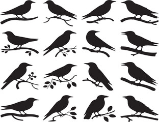 Silhouettes of birds perched on branches against a black background