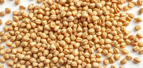Fototapeta premium Close-up of numerous dried moringa seeds against a stark white backdrop, stock photo, farming