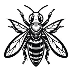 Striking Black and White Honeybee Illustration Detailed Wing Veins and Segmented Body