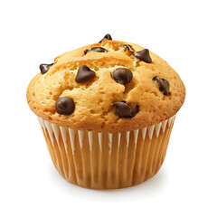 Freshly Baked Chocolate Chip Muffin in a Paper Liner