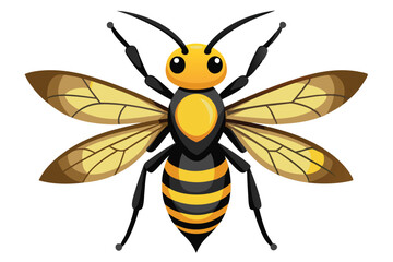 Illustration of a Honeybee with Black Stripes and Yellow Body with Big Wings, antenna and a shiny body