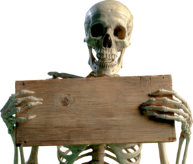 Scary skeleton holding blank wooden board sign for copy space