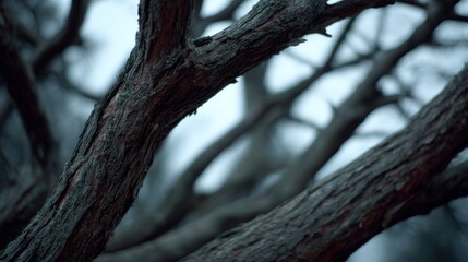 Twisted gnarled branches under eerie twilight, whispers of Samhain and Arbor Day's secretive forest dance unravel