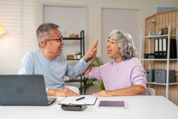 Fototapeta premium Happy elderly couple high-fiving each other to celebrate a success or win. Modern pensioners surfing internet with laptop pc, online shopping, gaming concept