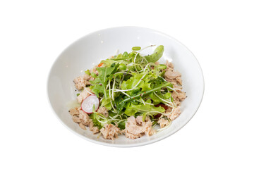Salad: A vibrant salad, composed of fresh greens, tender tuna, and hints of radish, perfectly presented in a classic bowl, a testament to healthy eating and culinary art. 
