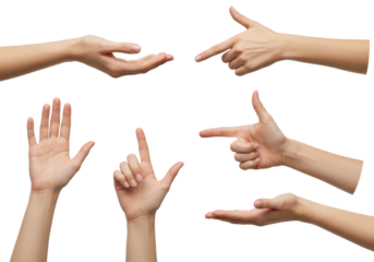 Multiple unadorned light-skinned female hands in various elegant gestures (open palm, pointing, thumbs-up) with soft skin, subtle pores, natural nails, isolated on a transparent seamless shadowless