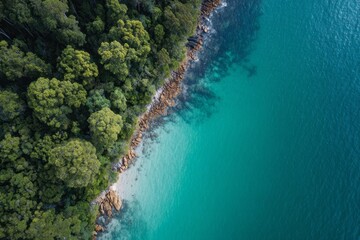 Emerald waves caress a lush forested coastline, whispering ancient secrets for Earth Day and the Green Man Festival