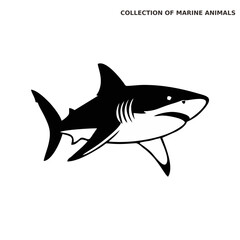 shark silhouette logo. flat shark logo. simple logo. sea animal logo