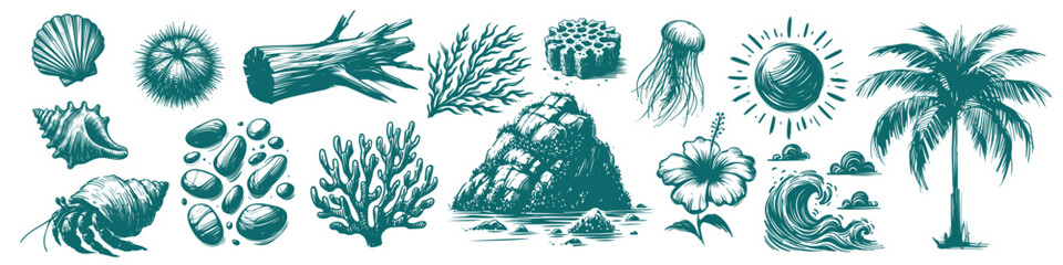 Summer Time Collection Engraved Hand Drawn Natural Illustration Vector Isolated by AZ for Books, Arts, Design and Decoration Graphic Asset