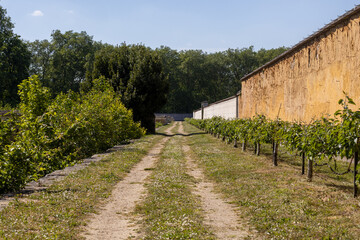 Fototapeta premium old farm house in the countryside