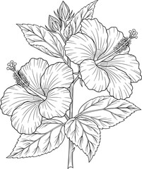 Flower Botanical Illustration. Tropical Floral Line Art for Coloring.