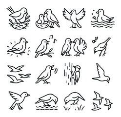 Set of 16 minimalist bird line drawings in various poses
