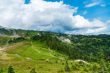 Naklejka premium Valley landscape with cloudy sky. Scenic green hill mountain. Travel destination. Breathtaking summer in wild mountain with forest and green slopes. Mountain landscape with wide meadow