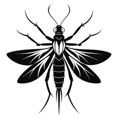 Elegant Black Silhouette of a Mosquito Insect with Veined Wings and Antennae Against White Background Creating a Striking Visual