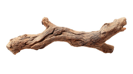 Full View of a Single Dry Tree Branch with Irregular Shape on Transparent Background

