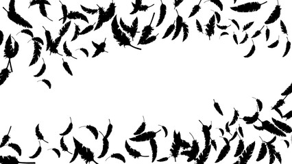 黒い鳥の羽がふわふわと舞う（16:9）1 Feather Series:Many black bird feathers fluttering