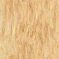 Seamless texture Red animal fur. Orange abstract fur background.