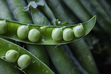 Open green pea pod with fresh peas inside