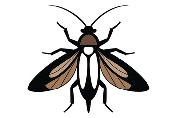 Silhouette of a corn borer insect on a white background