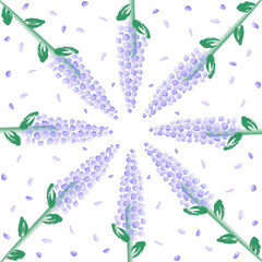 pattern of lavender flower. Vector of lavender flower. Illustration of lavender flower. For spring or summer background. Made in eps