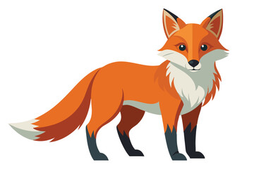 Obraz premium Stylized Vector Illustration of a Fox Standing Proudly with a Warm Color Palette and Simplistic Design Elements on a White Background