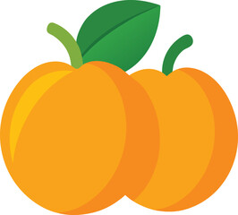 Apricots colorful vector on a white background