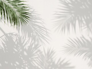 Palm Leaf Shadow Overlay on White Background