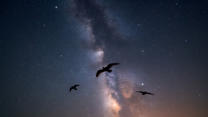 Birds in Flight at Night. Silhouetted Against Milky Way. Stunning Celestial Views. Ultra Realistic Photography.